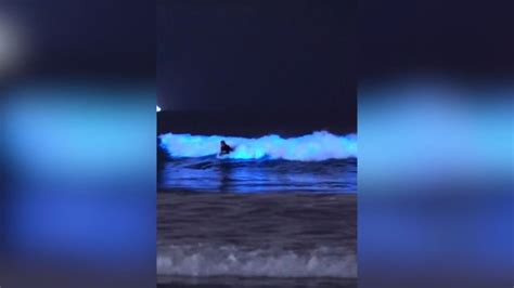 Bodyboarders rip through bioluminescent waves in California